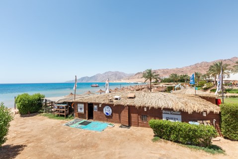 Diving in Dahab