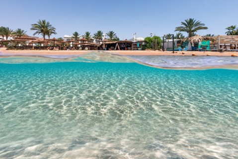 Diving in Dahab