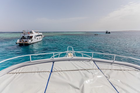 Diving in Sharm El Sheikh