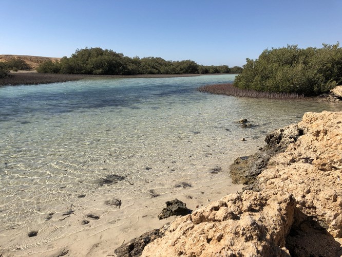 Day trip to the Ras Mohammed National Park by land