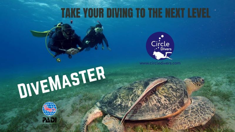 Join the Circle of Dive Professionals  with a PADI Divemaster Course