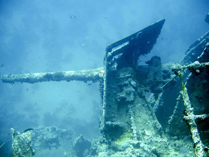 SS Thistlegorm: Eine Zeitkapsel unter dem Roten Meer